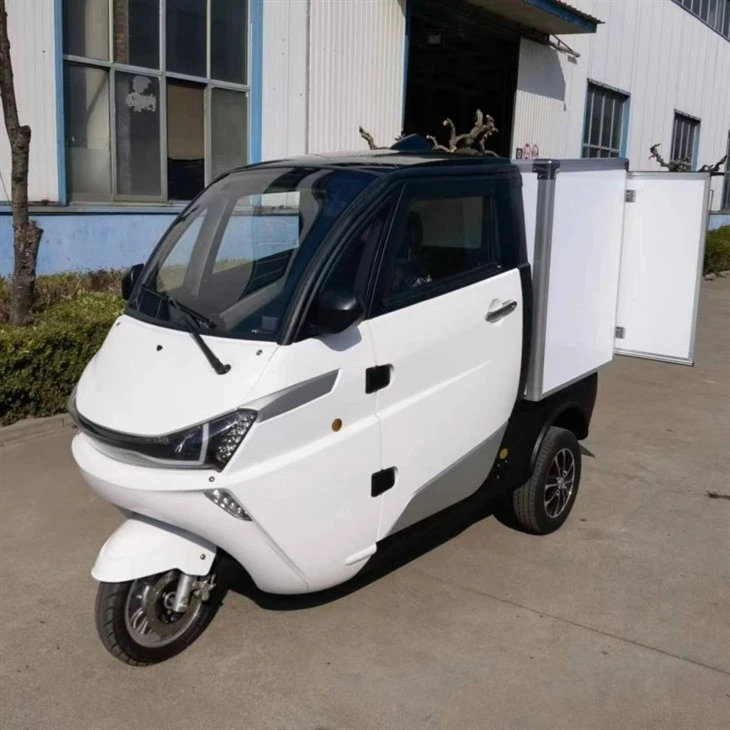 China Electric Cargo Van Both Cooling And Heating System Manufacturers