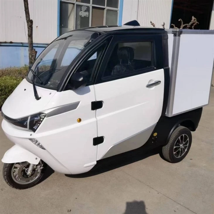 China Electric Cargo Van Both Cooling And Heating System Manufacturers