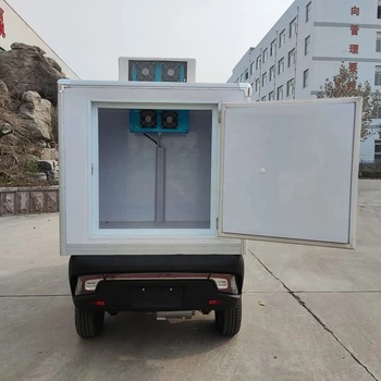 Runhorse Electric Vehicles For Ice Creams With A Cooling Van -18℃